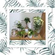 ヒメ日記 2025/10/29 13:56 投稿 りほ 奥様鉄道69 仙台店