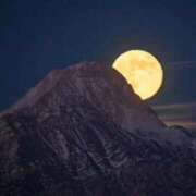 ヒメ日記 2025/11/04 19:37 投稿 りほ 奥様鉄道69 仙台店