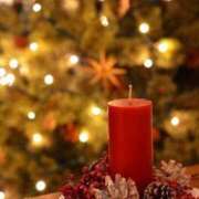 ヒメ日記 2025/11/13 18:56 投稿 りほ 奥様鉄道69 仙台店