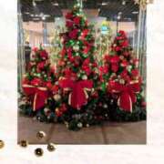 ヒメ日記 2025/12/25 16:06 投稿 りほ 奥様鉄道69 仙台店