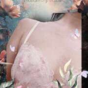 ヒメ日記 2024/12/09 05:44 投稿 成美 素人妻達☆マイふぇらレディー