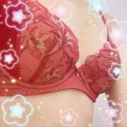 ヒメ日記 2024/12/30 20:28 投稿 成美 素人妻達☆マイふぇらレディー