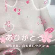 ヒメ日記 2025/04/07 17:15 投稿 成美 素人妻達☆マイふぇらレディー