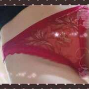 ヒメ日記 2025/08/27 09:55 投稿 成美 素人妻達☆マイふぇらレディー