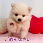 ヒメ日記 2024/12/17 09:48 投稿 優希-ゆうき【FG系列】 ほんとうの人妻 厚木店【FG系列】