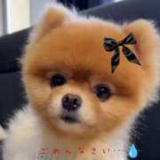 ヒメ日記 2025/05/06 13:49 投稿 優希-ゆうき【FG系列】 ほんとうの人妻 厚木店【FG系列】