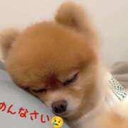 ヒメ日記 2026/05/28 14:36 投稿 優希-ゆうき【FG系列】 ほんとうの人妻 厚木店【FG系列】