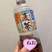 ヒメ日記 2024/12/13 16:17 投稿 小山ねおり ハプニング痴漢電車or全裸入室