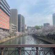 ヒメ日記 2025/03/31 15:57 投稿 小山ねおり ハプニング痴漢電車or全裸入室