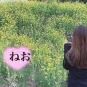 ヒメ日記 2025/04/24 13:17 投稿 小山ねおり ハプニング痴漢電車or全裸入室