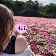 ヒメ日記 2025/06/03 22:27 投稿 小山ねおり ハプニング痴漢電車or全裸入室