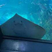 ヒメ日記 2026/01/04 10:47 投稿 小山ねおり ハプニング痴漢電車or全裸入室