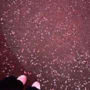 ヒメ日記 2026/04/09 11:26 投稿 小山ねおり ハプニング痴漢電車or全裸入室