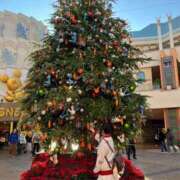 ヒメ日記 2025/11/20 06:58 投稿 あの 静岡♂風俗の神様 静岡店