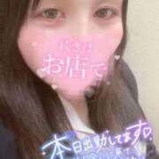 ヒメ日記 2025/04/15 12:49 投稿 幾夜　つゆ ノーパンパンスト スケベなOL梅田・兎我野店