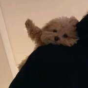 ヒメ日記 2025/05/31 11:40 投稿 幾夜　つゆ ノーパンパンスト スケベなOL梅田・兎我野店