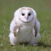 ヒメ日記 2025/06/05 11:56 投稿 幾夜　つゆ ノーパンパンスト スケベなOL梅田・兎我野店