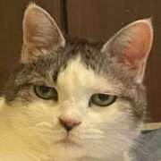 ヒメ日記 2025/06/06 11:53 投稿 幾夜　つゆ ノーパンパンスト スケベなOL梅田・兎我野店