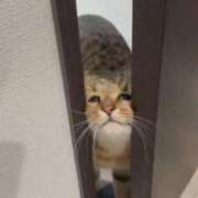 ヒメ日記 2025/09/16 21:30 投稿 幾夜　つゆ ノーパンパンスト スケベなOL梅田・兎我野店