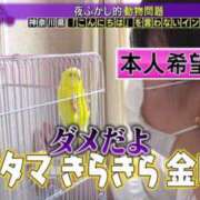 ヒメ日記 2025/10/03 22:47 投稿 幾夜　つゆ ノーパンパンスト スケベなOL梅田・兎我野店