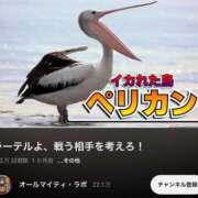 ヒメ日記 2026/03/03 14:29 投稿 幾夜　つゆ ノーパンパンスト スケベなOL梅田・兎我野店