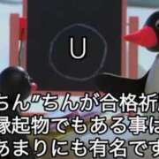 ヒメ日記 2026/03/03 14:31 投稿 幾夜　つゆ ノーパンパンスト スケベなOL梅田・兎我野店