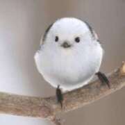 ヒメ日記 2025/01/22 21:50 投稿 ゆいな 池袋マリン別館