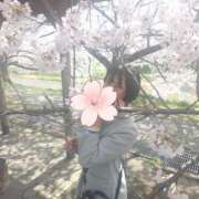 ヒメ日記 2025/05/28 15:21 投稿 NH青空 くもり 東京♂風俗の神様 町田・相模原店