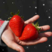 ヒメ日記 2025/04/19 06:01 投稿 いよ 世界のあんぷり亭 立川店