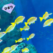 ヒメ日記 2025/03/11 19:06 投稿 ひまり ビジョルナ（bijouluna）