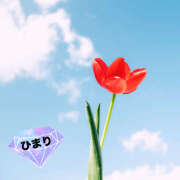 ヒメ日記 2025/03/31 22:18 投稿 ひまり ビジョルナ（bijouluna）