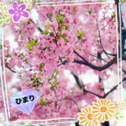 ヒメ日記 2025/04/03 18:18 投稿 ひまり ビジョルナ（bijouluna）