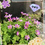 ヒメ日記 2025/06/03 19:38 投稿 ひまり ビジョルナ（bijouluna）