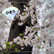 ヒメ日記 2026/04/08 18:46 投稿 ひまり ビジョルナ（bijouluna）