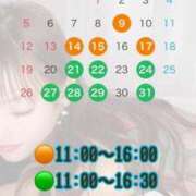 ヒメ日記 2025/01/05 07:36 投稿 しおんちゃん ZERO-i