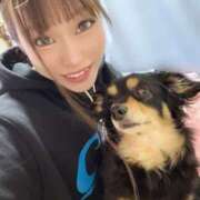 ヒメ日記 2025/04/01 11:16 投稿 しおんちゃん ZERO-i