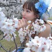 ヒメ日記 2025/04/04 09:06 投稿 しおんちゃん ZERO-i