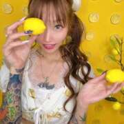 ヒメ日記 2025/04/28 08:06 投稿 しおんちゃん ZERO-i