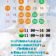 ヒメ日記 2025/05/01 09:06 投稿 しおんちゃん ZERO-i