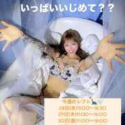 ヒメ日記 2025/05/28 15:06 投稿 しおんちゃん ZERO-i