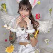 ヒメ日記 2025/09/04 14:06 投稿 しおんちゃん ZERO-i