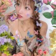 ヒメ日記 2025/11/08 06:26 投稿 しおんちゃん ZERO-i