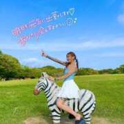 ヒメ日記 2025/11/22 09:36 投稿 しおんちゃん ZERO-i