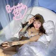 ヒメ日記 2025/11/25 16:16 投稿 しおんちゃん ZERO-i