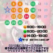 ヒメ日記 2025/11/26 12:16 投稿 しおんちゃん ZERO-i