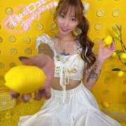 ヒメ日記 2025/11/26 17:11 投稿 しおんちゃん ZERO-i