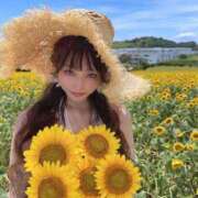 ヒメ日記 2025/11/28 04:56 投稿 しおんちゃん ZERO-i