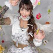 ヒメ日記 2025/11/30 06:06 投稿 しおんちゃん ZERO-i