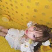 ヒメ日記 2025/12/17 16:26 投稿 しおんちゃん ZERO-i