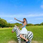 ヒメ日記 2026/01/19 06:36 投稿 しおんちゃん ZERO-i